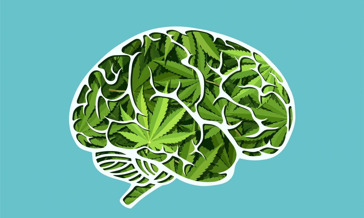 High-Strength THC Balanced With CBD Is Better For Your Brain, Study Shows