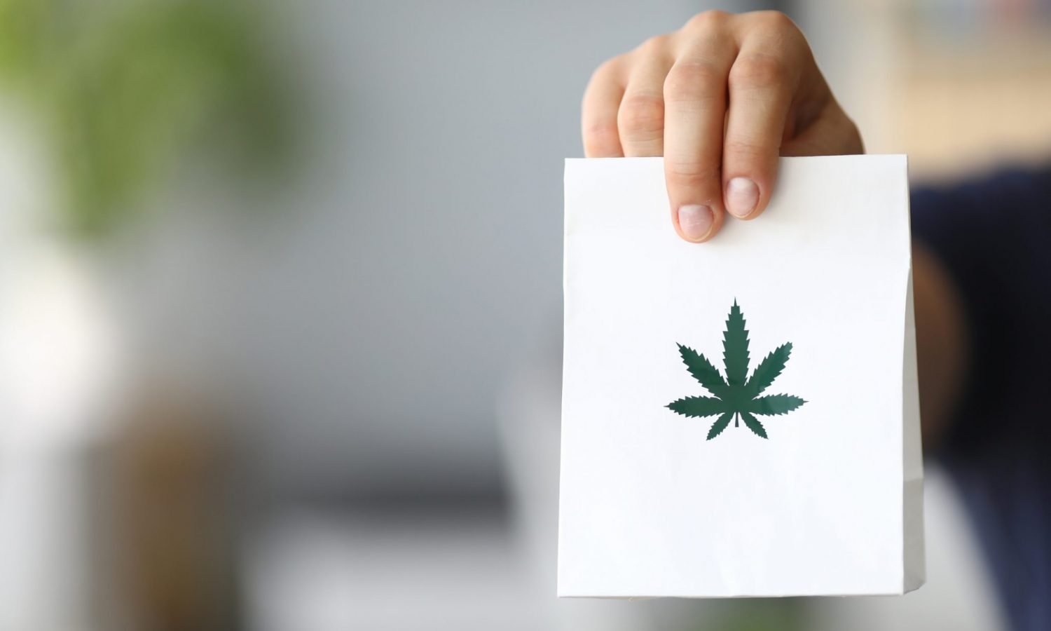 cannabis gifting