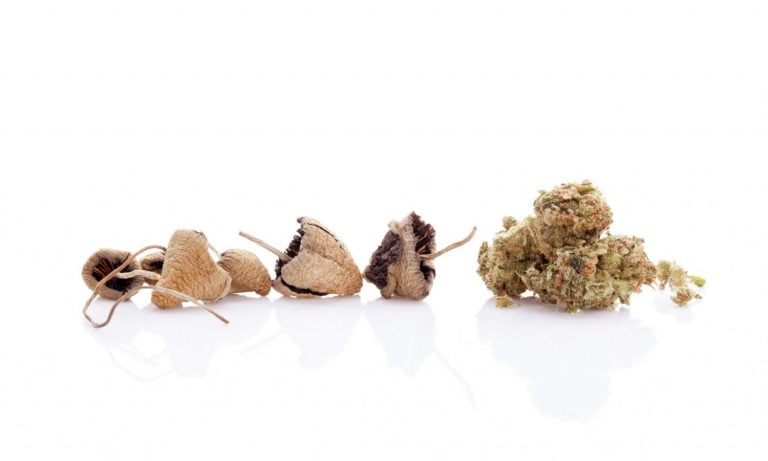 A Closer Look At Cannabis-Mushroom Products