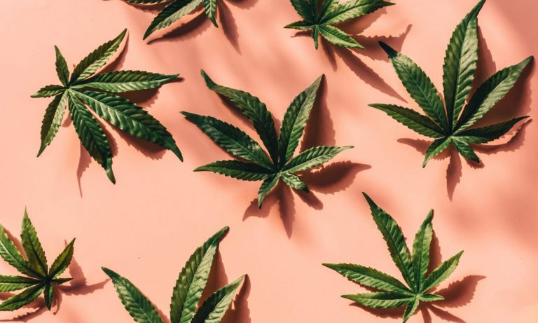 Michigan Report: Cannabis Dispensaries Not The Main Source Of Weed Purchases