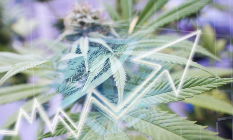 This Cannabis Stock Has Beaten Microsoft, Netflix, Apple And Facebook