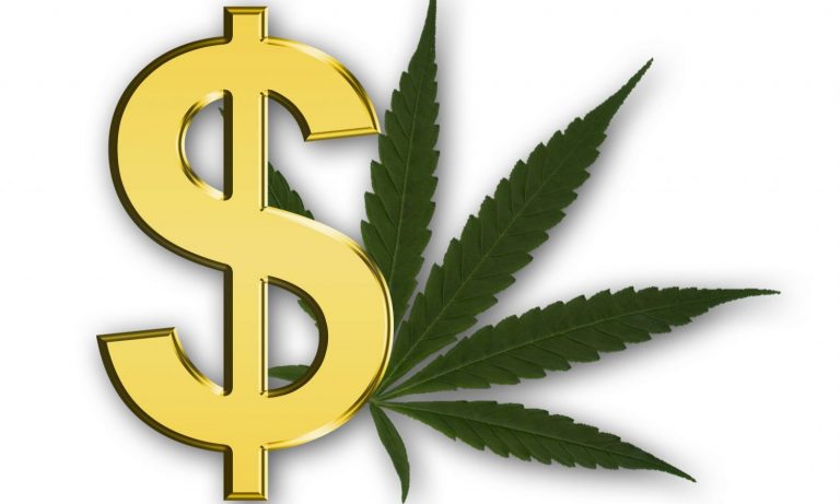 Drop The 25% Cannabis Tax, Senator Schumer!