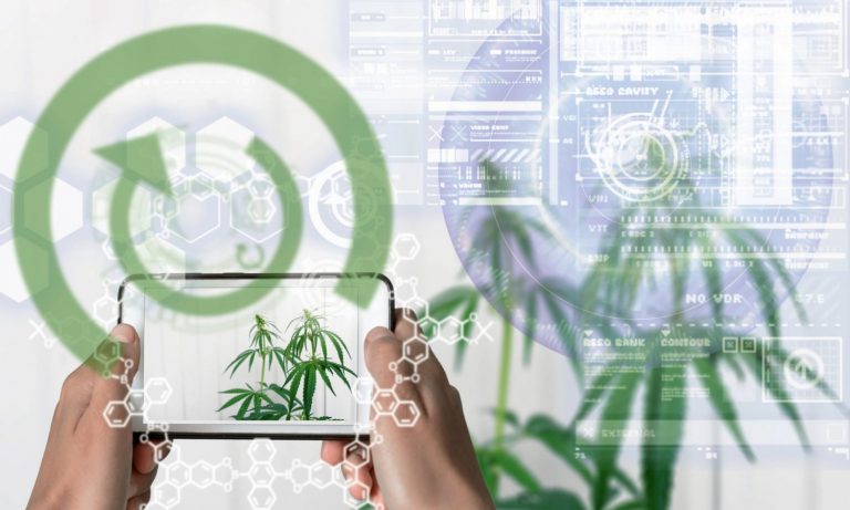 Here’s How Technology Is Reshaping Cannabis