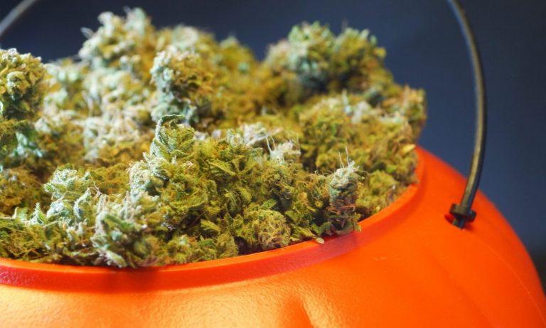 These Are The Cannabis Industry’s Biggest Tricks And Treats So Far