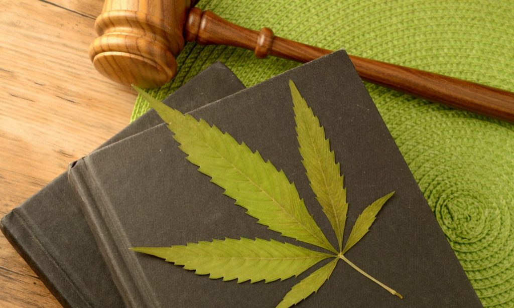 legal cannabis marijuana