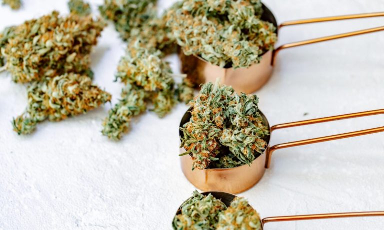 Will US Grown Marijuana Exist In 10 Years?