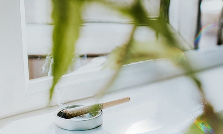 5 Ways To Rid Your Home Of That Marijuana Smell