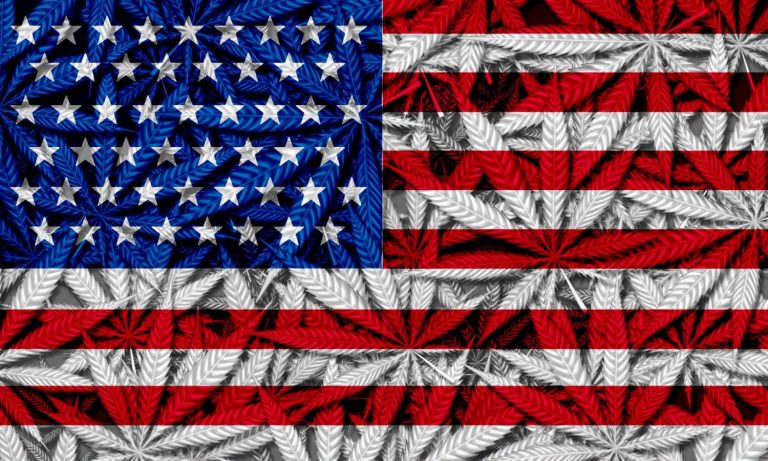 Can You Guess How Many Americans Would Vote For A Politician Who Smokes Weed?