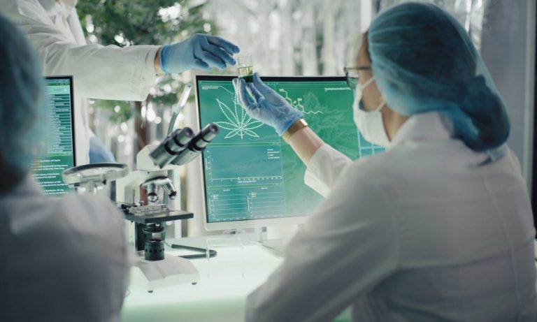 Scientists Discover New Cannabis Compounds, But What Exactly Are They?