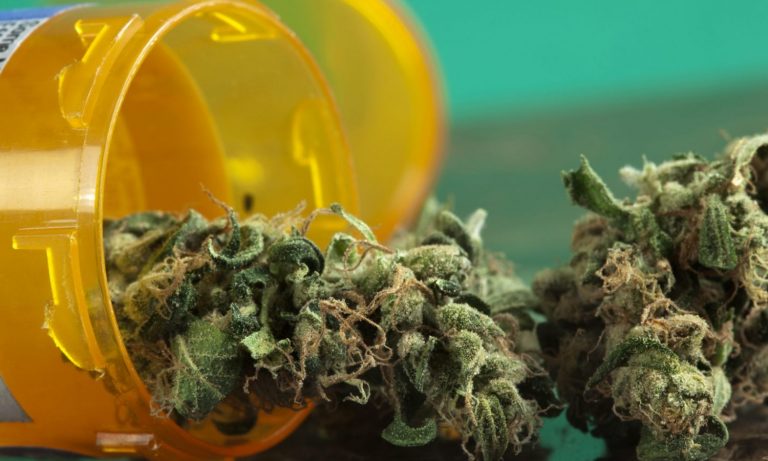 Why The Michigan Cannabis Manufacturers Association Is At Odds With Medical Marijuana Patients