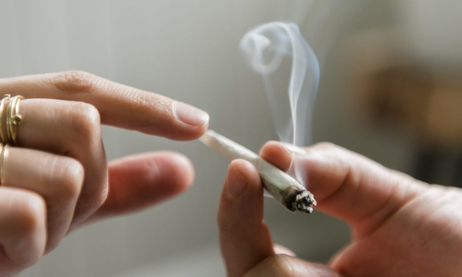 Study Shows Occasional Cannabis May Not Cause Lung Damage