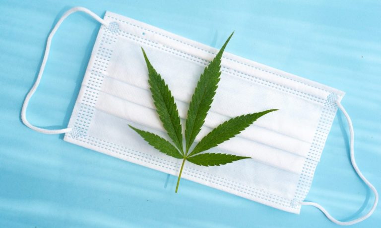 FDA Warns CBD Companies To Stop Claiming Their Products Can Treat COVID-19