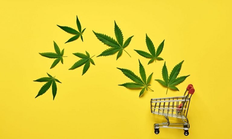 Here Are The Products That Drove Green Wednesday Sales (And The Ones That Tanked)