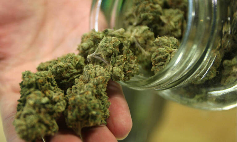 How America’s Outlook On Medical Marijuana Has Changed Since The Passage Of Prop 215 — 25 Years Ago