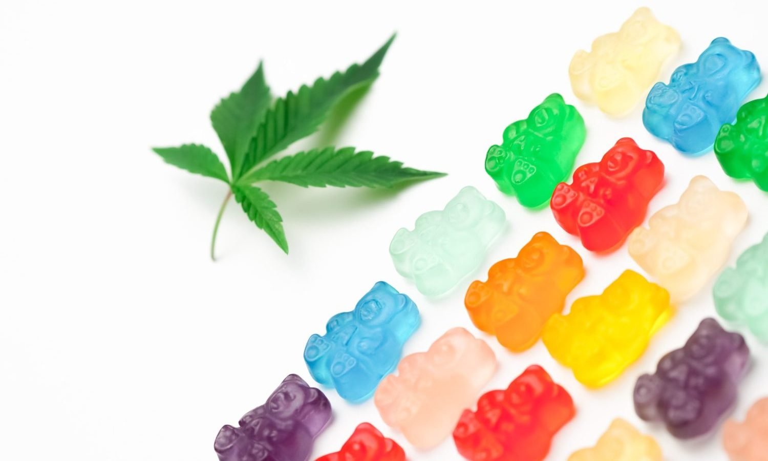 Marijuana Edibles