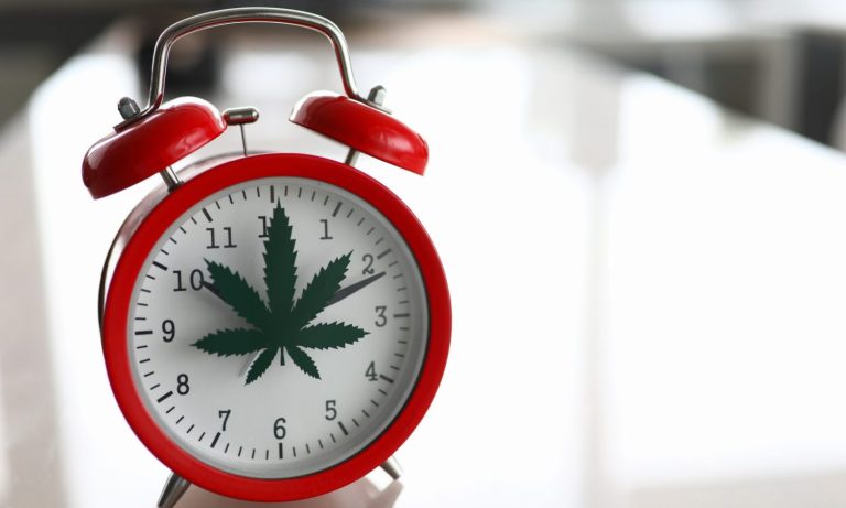 Does Weed Go Bad? Here’s How To Identify Old Marijuana