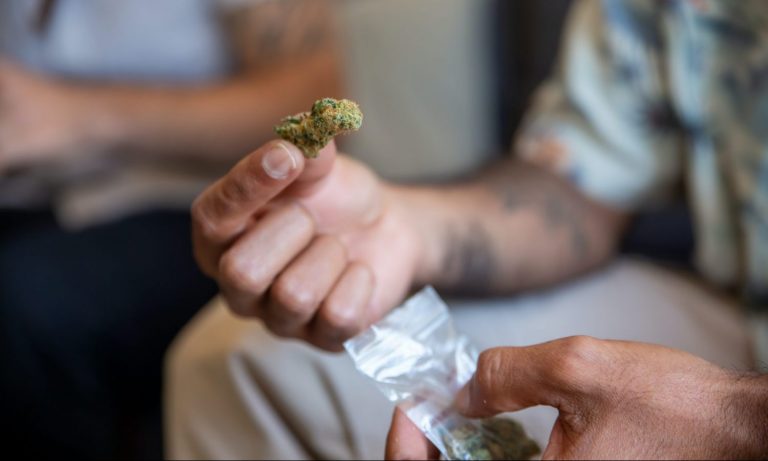 Should I Buy Weed From A Dealer Or Dispensary?