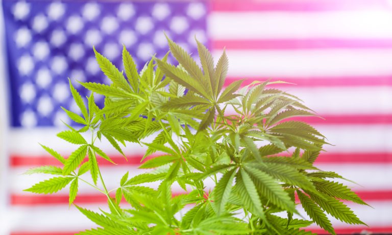 GOP Lawmakers Present Cannabis Legalization Bill — Will This Move The Nation Closer To Federal Reform?