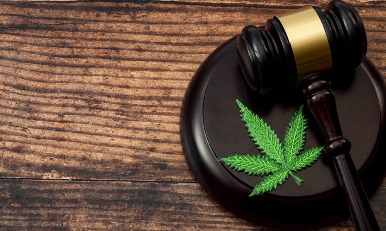 DEA Sued Over Delays To Open Records For Psychedelics And Cannabis