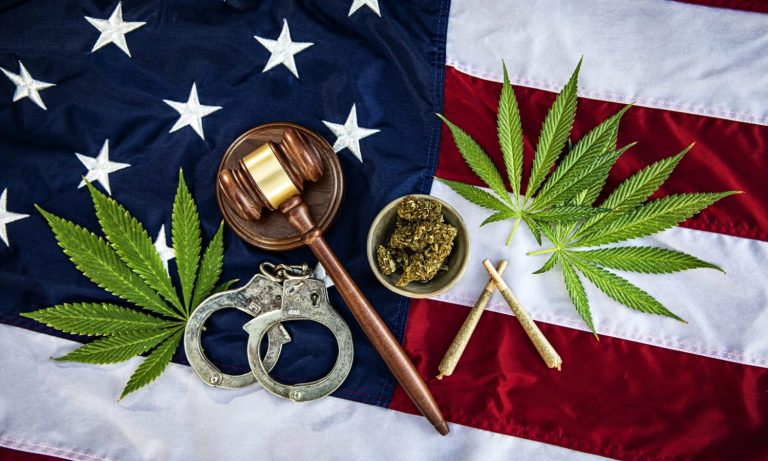 Marijuana Reform Reduces Racial Injustice, American Medical Association Study Reveals
