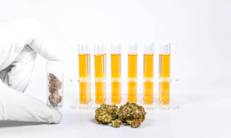 EVALI Could be Caused By Weed With THC-O Acetate