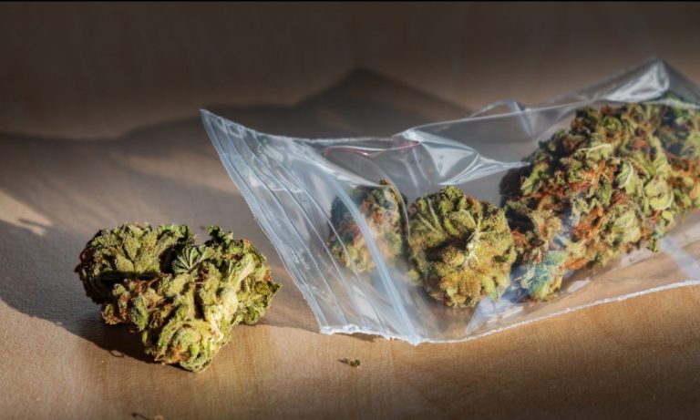 Understanding THC And TAC On Cannabis Labels