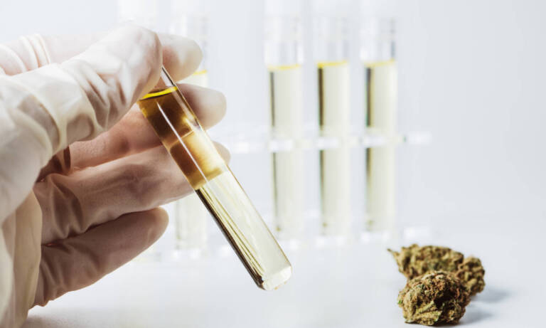 Mandatory Pesticide Testing Begins April 2 For All Cannabis Products In WA