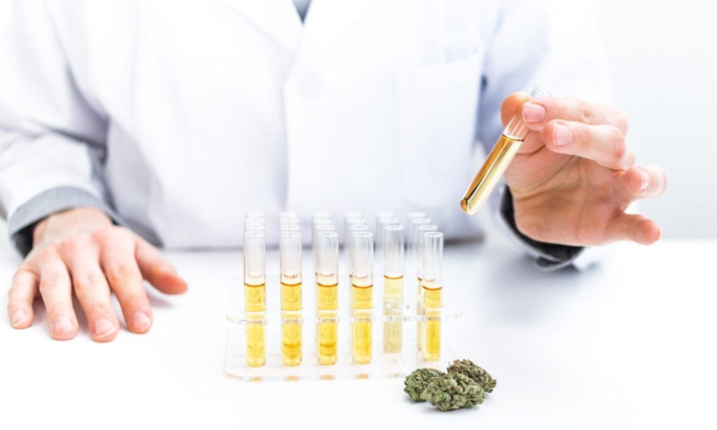 medical marijuana research