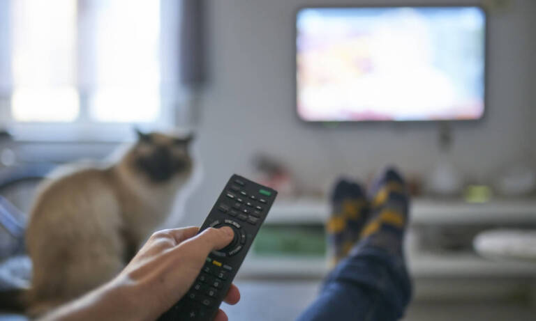 The Best Weed Documentaries To Stream
