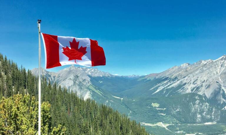 BC Pushes For Legal Black Market Cannabis Amid Criticism From Craft Growers