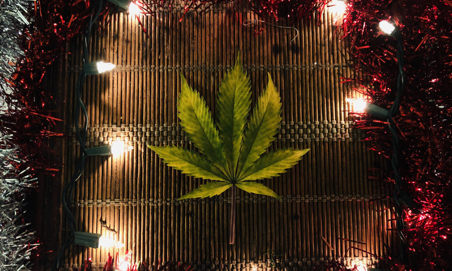 cannabis holidays