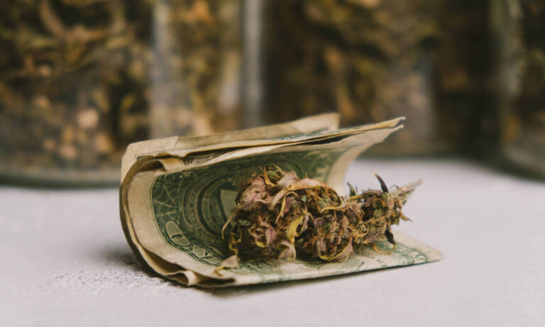 Where Is Weed Cheapest And Most Expensive In The US?