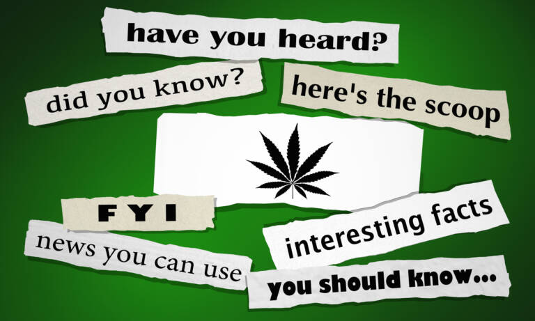 5 Biggest Pot Related Stories Of 2021