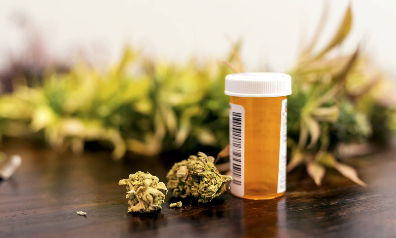 prescription drugs cannabis