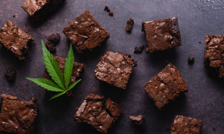 The World’s Biggest Cannabis Brownie