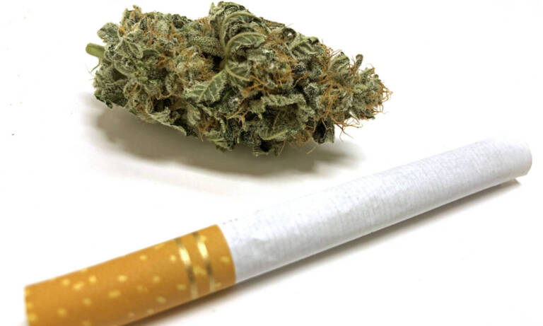 Lessons The Cannabis Industry Can Learn From Big Tobacco