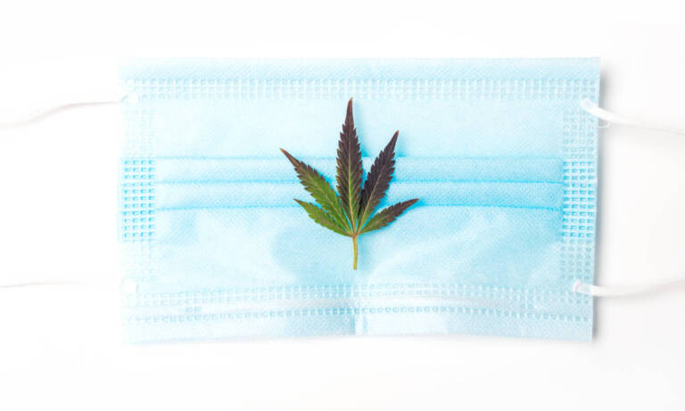 Cannabis And Lower COVID Hospitalizations