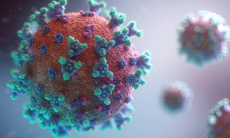 OSU Study Finds CBGA And CBDA Block COVID-19 Virus