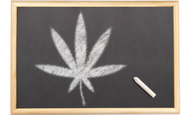 Cannabis And The Classroom: Where Do Things Stand?