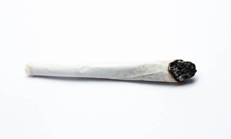 You Can Learn About Cannabis By Studying The Ash And Soot