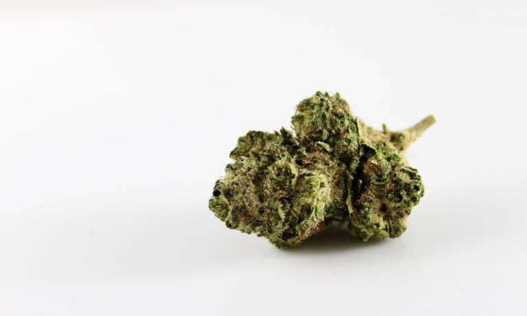 This Company Sells ‘Nugs’ In Milk Cartons To Raise Money For Non-Violent Pot Prisoners