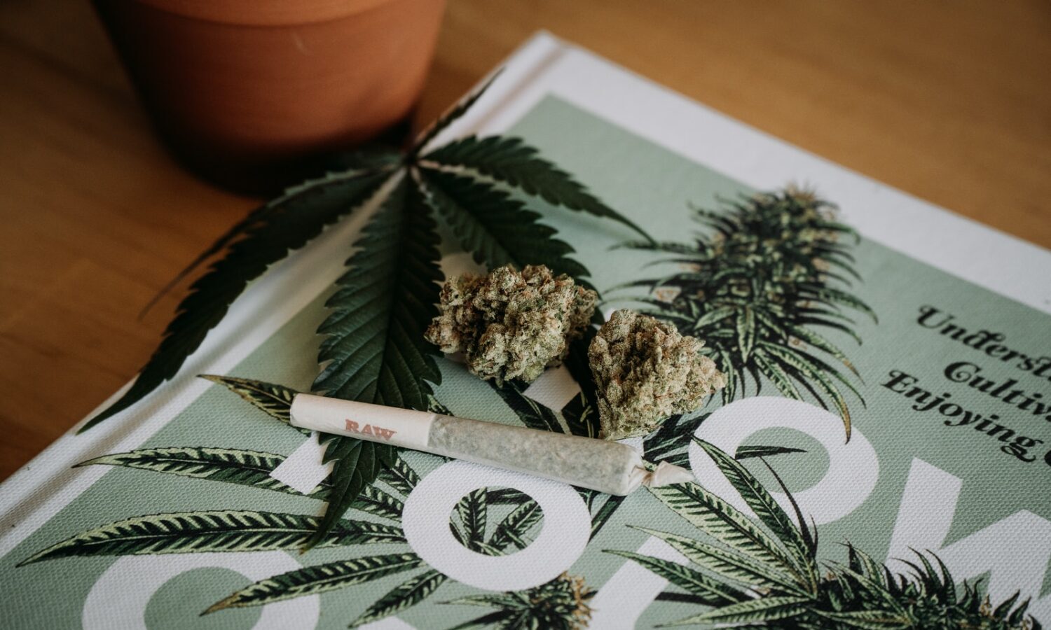 5 Marijuana Hacks To Make The Most Of Your Experience