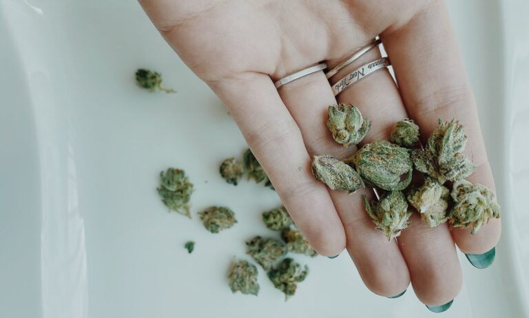 Nearly 1 In 10 New Jobs In This State Came From The Cannabis Industry