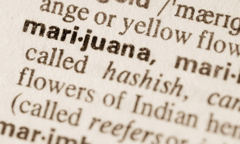 Is It Time To Stop Using The Word Marijuana?
