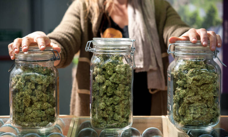 Here’s When New York Will Start Accepting Dispensary Applications