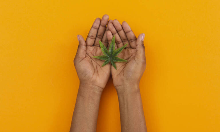 4 Groundbreaking Cannabis Pioneers To Recognize This Black History Month