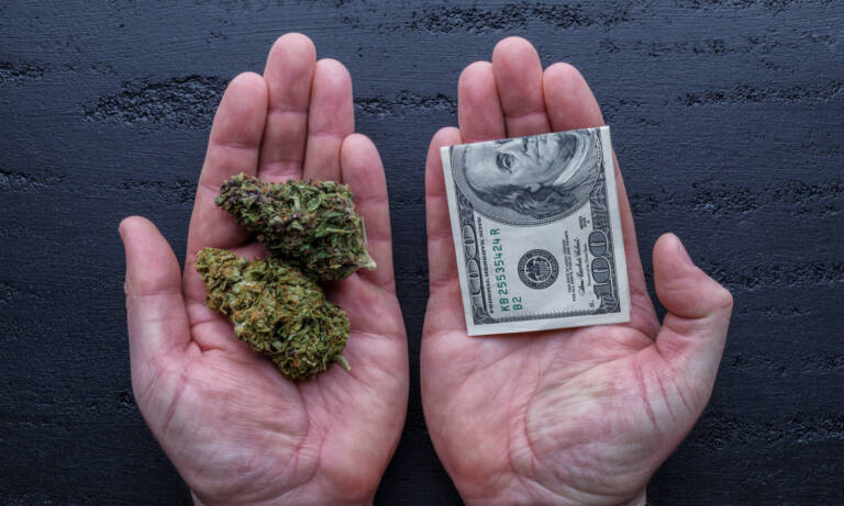 On 4/20, A Quick Overview Of The Marijuana Industry