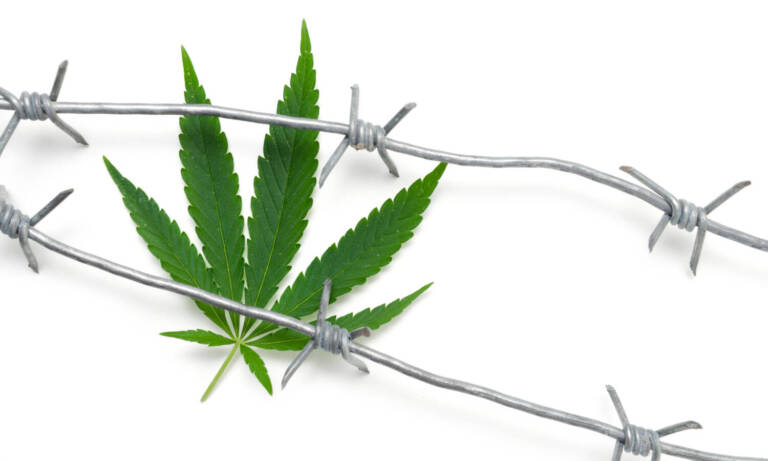 Life Sentence For Weed Possession? Mississippi Supreme Court Says ‘Yes’ If You’ve Got Priors