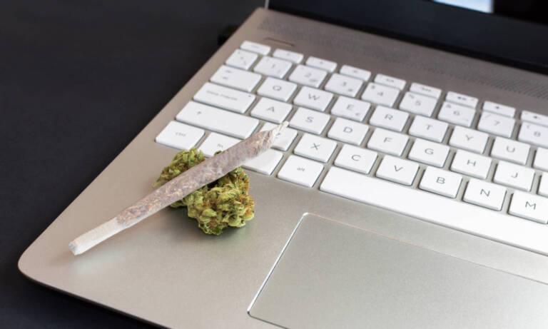 What To Know About Weed In The 2022 Workplace