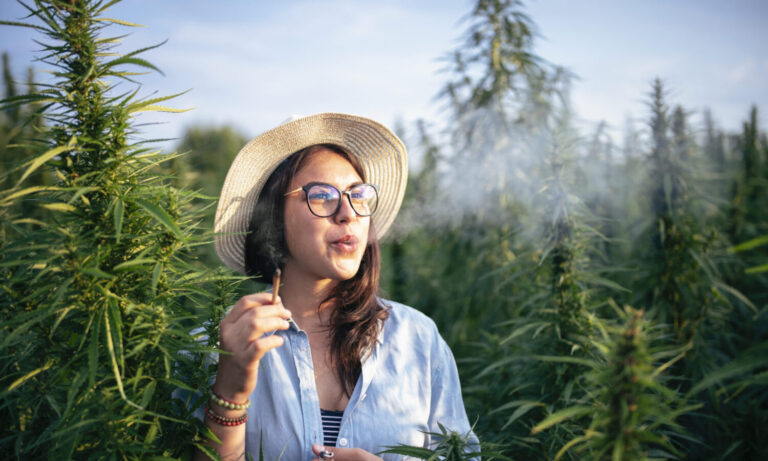 6 Cannabis Experiences To Explore In Legal States
